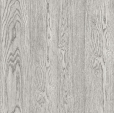Купить Обои SPLENDOR sd3603 в Rafi Decor